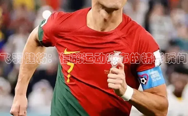 半岛bandao体育官方客服百度数据开放平台飞羽健将：信鸽运动赛事的精彩瞬间