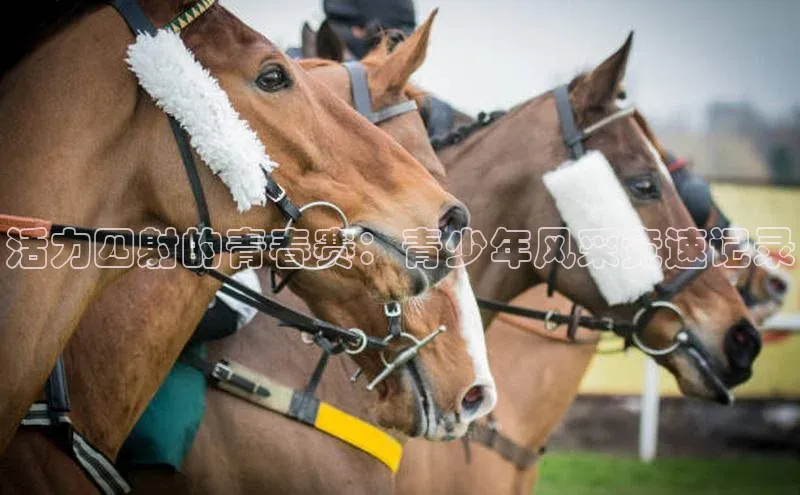 半岛·综合体育网页版光魔科技活力四射的青春赛：青少年风采竞速记录