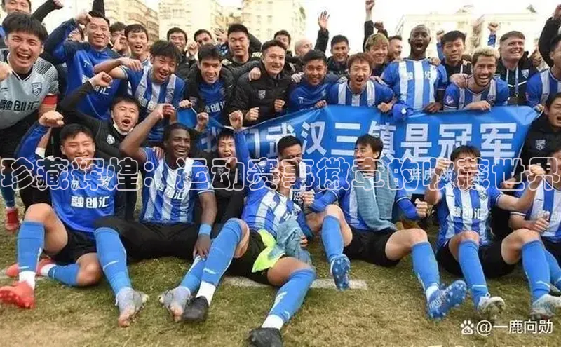 珍藏辉煌：运动赛事徽章的收藏世界