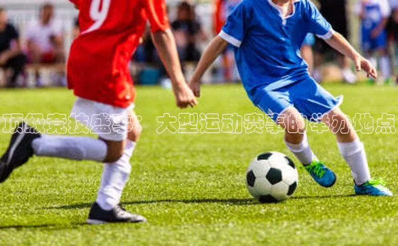 顶级竞技盛事：大型运动赛事的举办地点