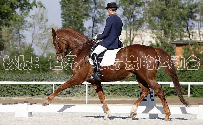 极限：世界上最昂贵的运动会