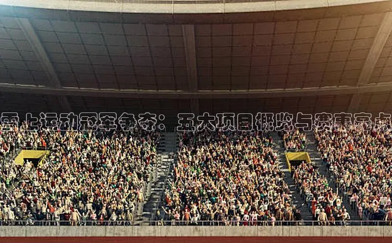 雪上运动冠军争夺：五大项目概览与赛事亮点