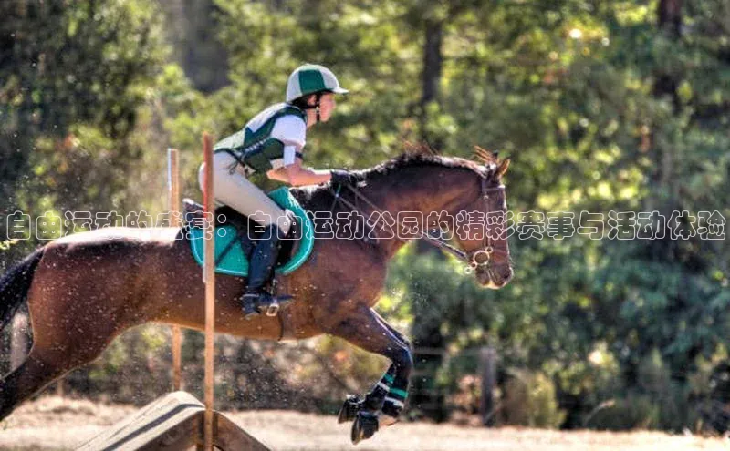 自由运动的盛宴：自由运动公园的精彩赛事与活动体验