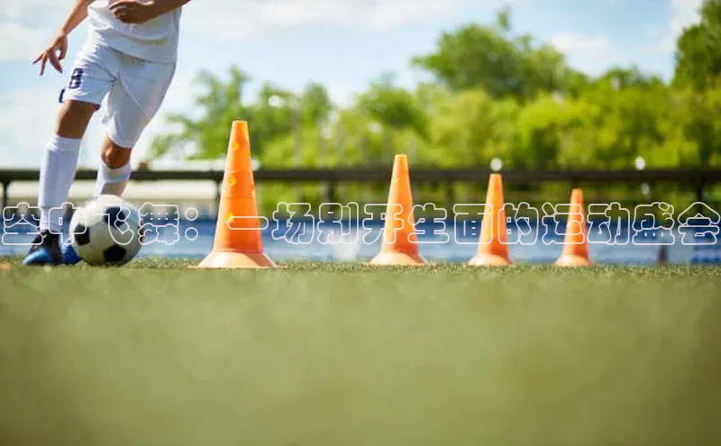 空中飞舞：一场别开生面的运动盛会