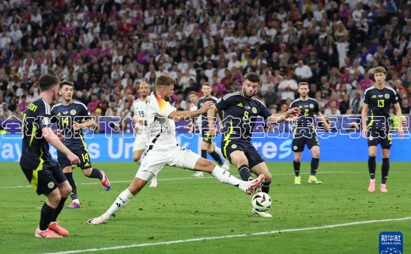 全球视野下的各类著名运动赛事与展望