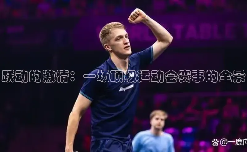 跃动的激情：一场顶级运动会赛事的全景