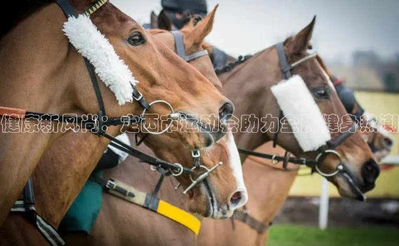 健康新风尚：定西市运动会助力全民健身热潮