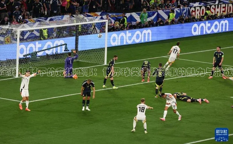 全球视野下的竞技盛事：世界球类运动赛事的魅力与挑战