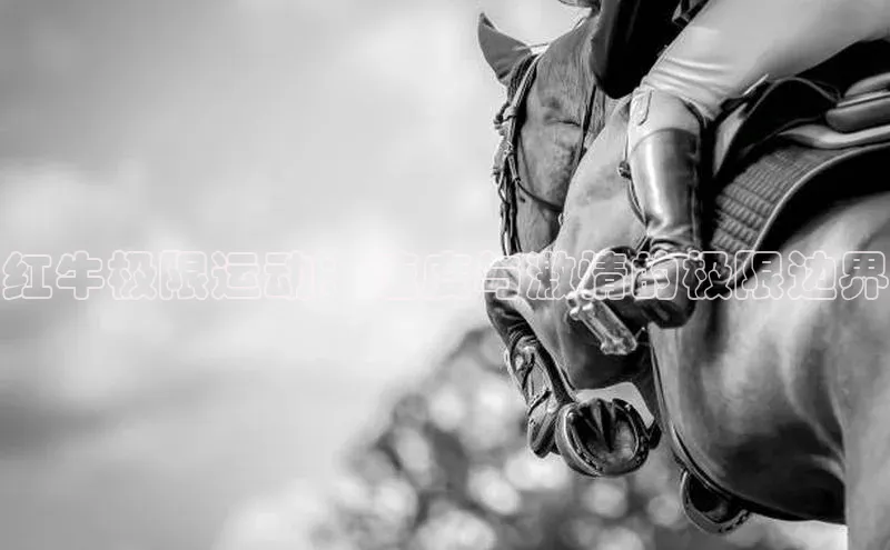 红牛极限运动：速度与激情的极限边界