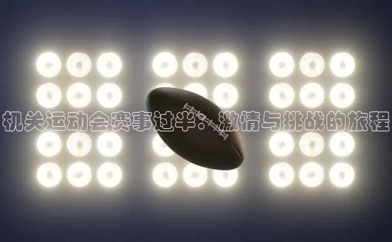 机关运动会赛事过半：激情与挑战的旅程