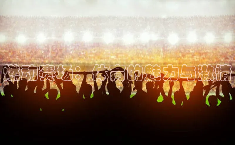 燃动赛场：体育的魅力与激情