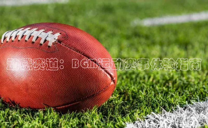 BOB·体育中国官方入口