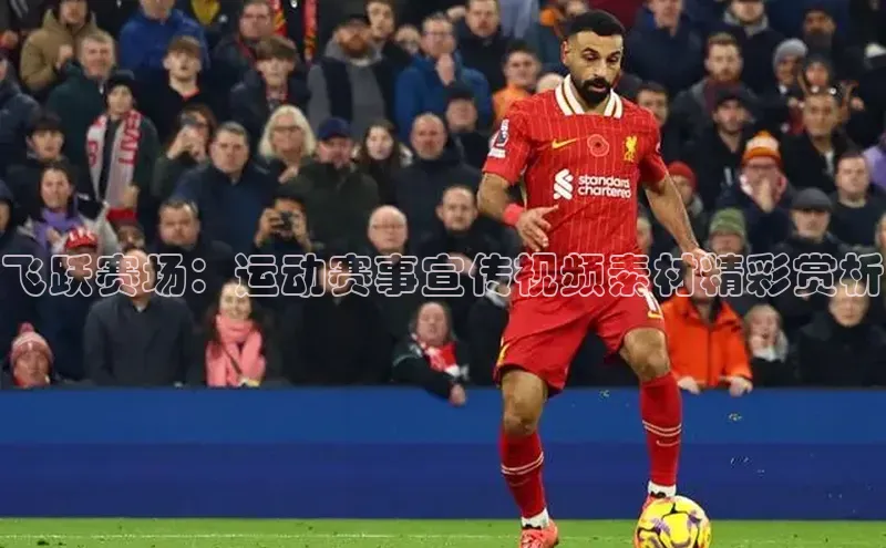 星空半岛·体育官网下载