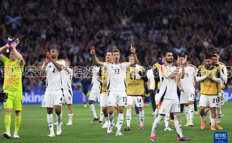 半岛·bob官方网站体育